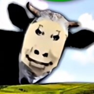 6666我爱