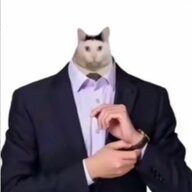 贺江沅