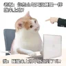 QS_BICH
