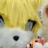BXAF翁