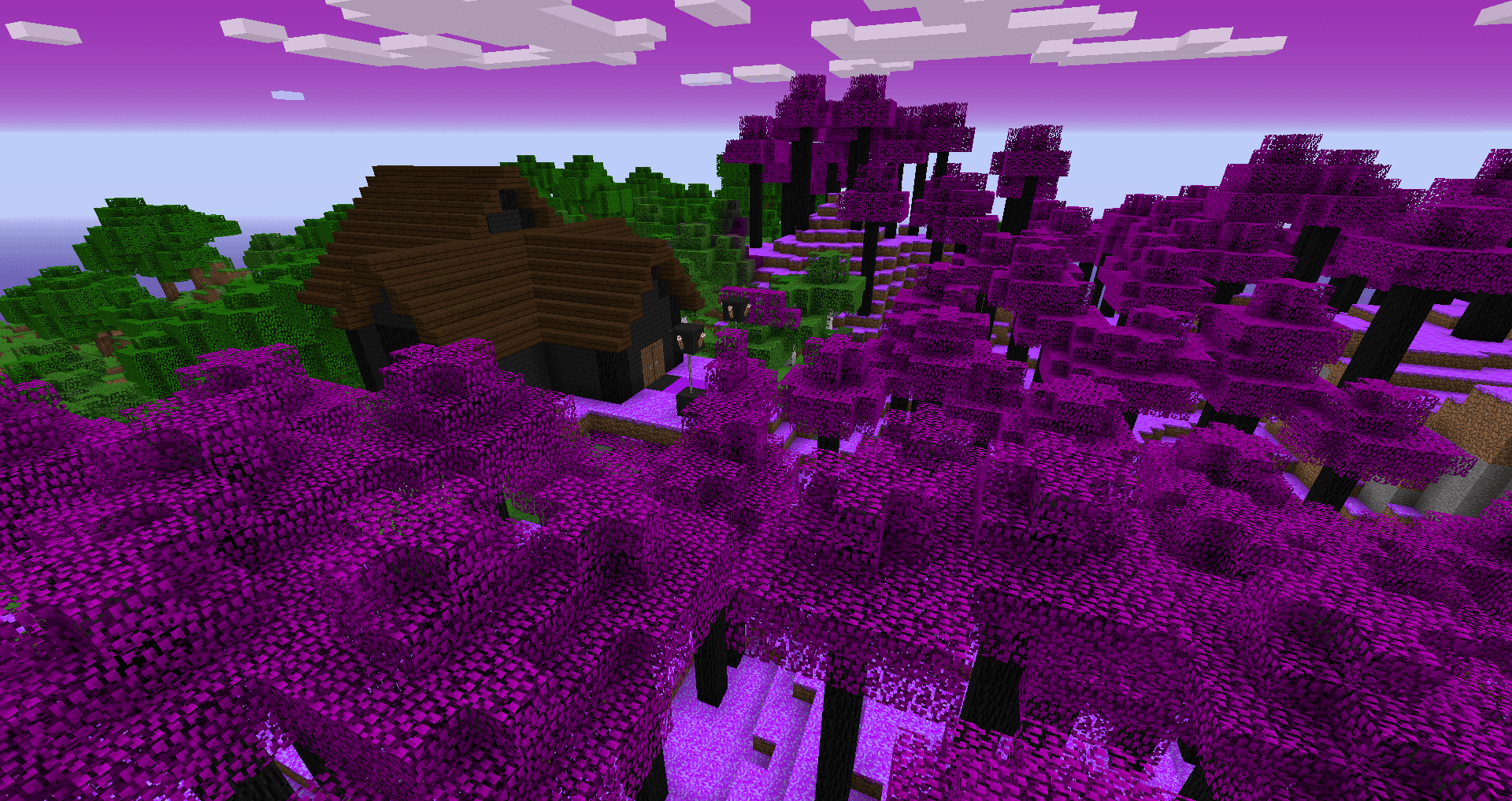 6817ff0858cb8da5c8dc7486.png